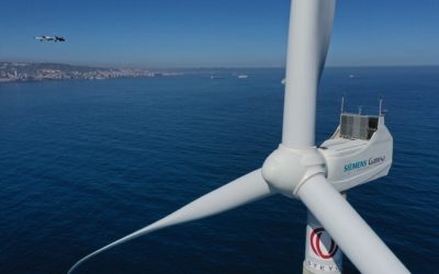 Alerion: “Queremos tener una posición más relevante a nivel internacional”