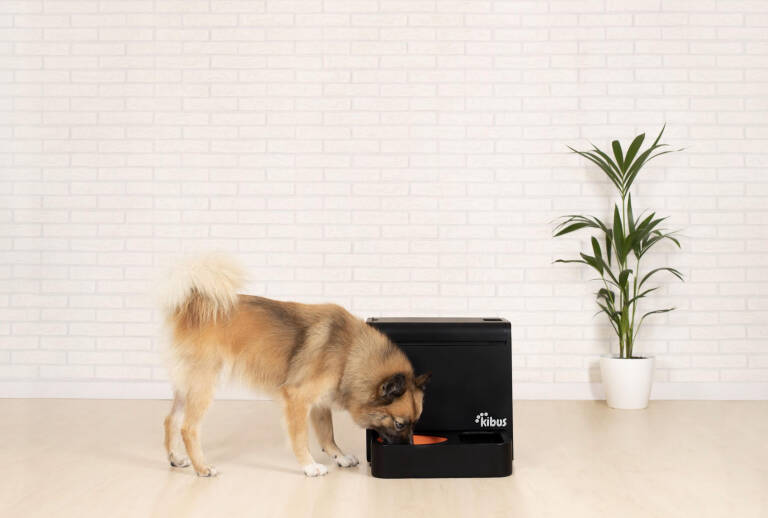 Kibus Petcare